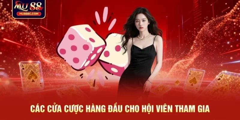 Các cửa cược hàng đầu cho hội viên tham gia