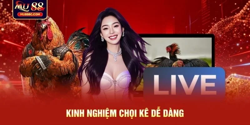 Kinh nghiệm chọi kê dễ dàng