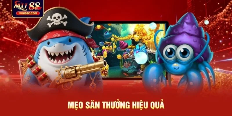 Mẹo săn thưởng hiệu quả