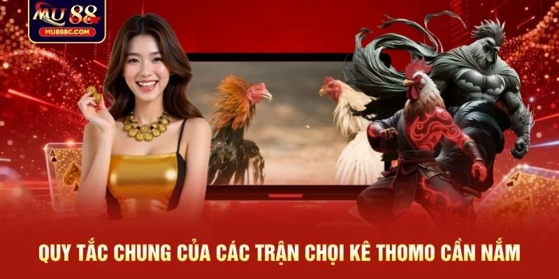 Quy tắc chung của các trận chọi kê Thomo cần nắm