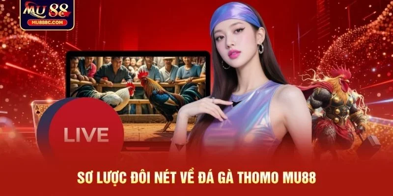 Sơ lược đôi nét về đá gà Thomo MU88